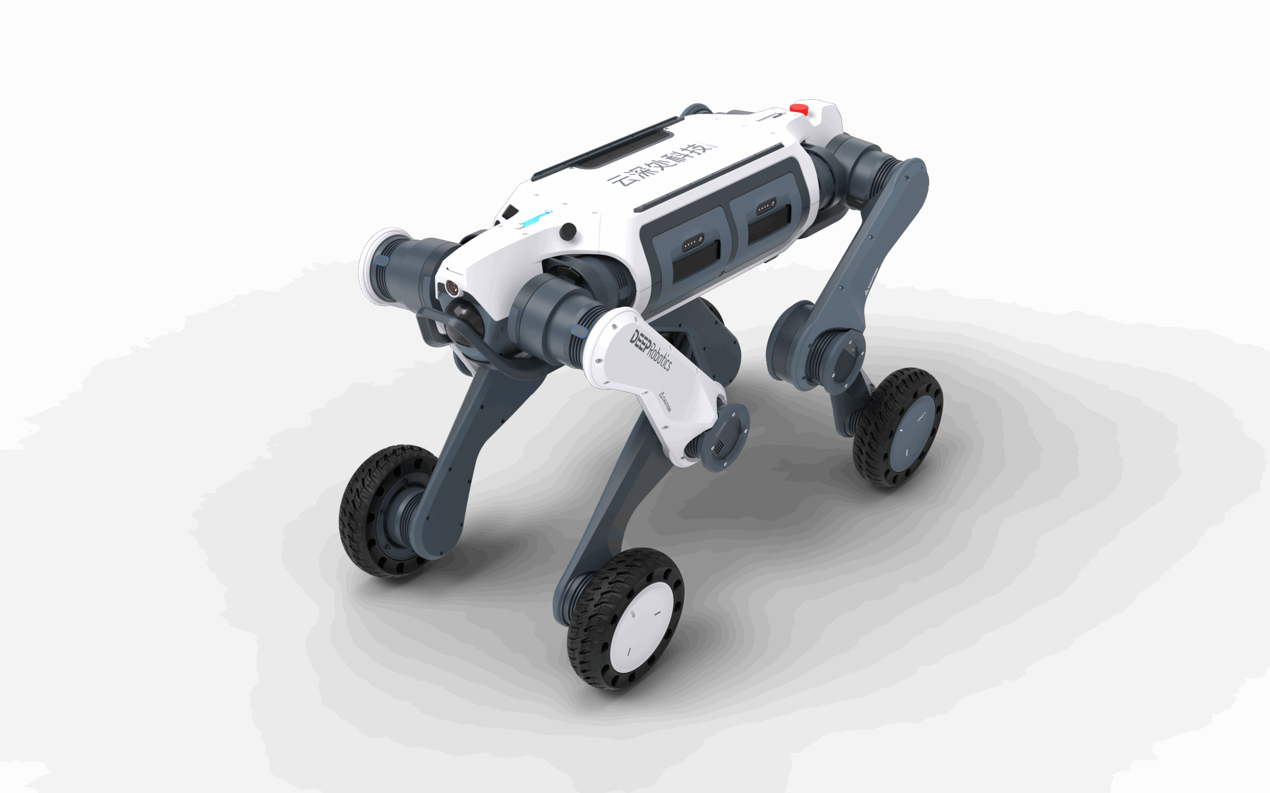 Hardware Details