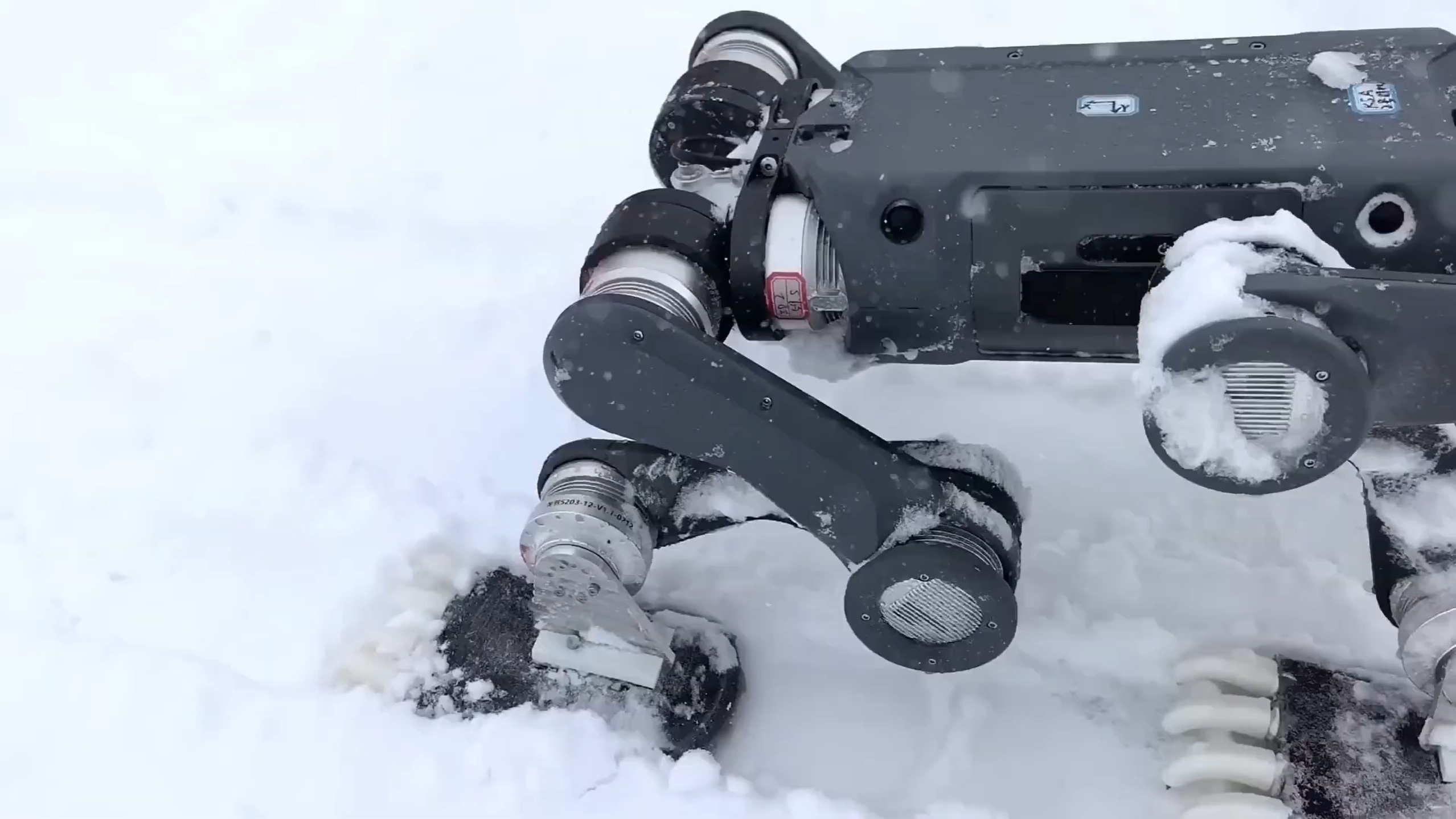 Hardened Industrial Durability & Weatherproofing